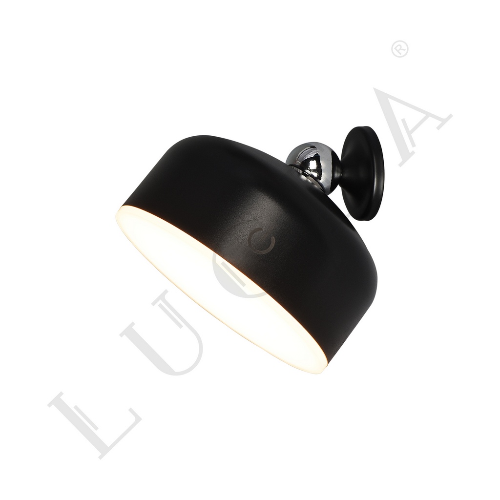 80953-02-w001-bk
